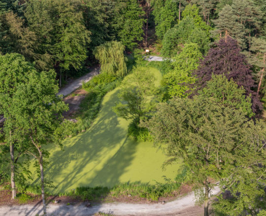 Bad Lippspringe - Kurwald - Mersmannteich